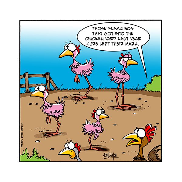 Stale Crackers | Chicken jokes, Farm humor, Chicken humor