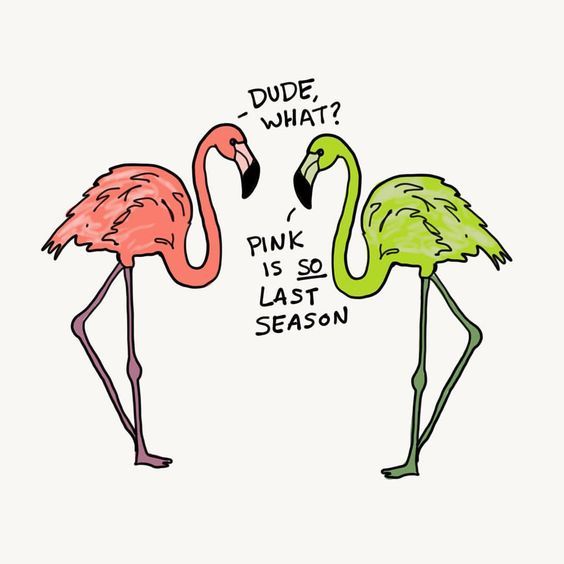 Funny Flamingo Memes for those that like us that love all ...