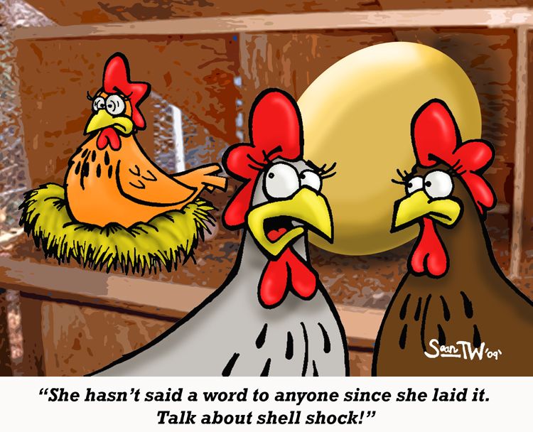 Pin by Linda Sue on Chickens | Chicken cartoon funny ...