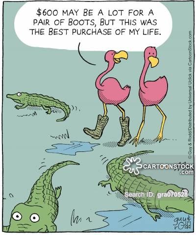 Flamingo Cartoons and Comics - funny pictures from ...