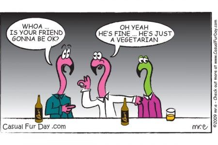 Flamingo Funny | Science cartoons, Funny flamingo, Funny ...
