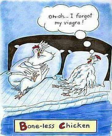 Pin by Rhona Gb on COMICS | Funny toons, Chicken jokes ...