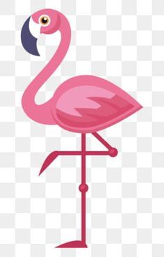Leg lift flamingo animal in 2020 | Flamingo illustration ...