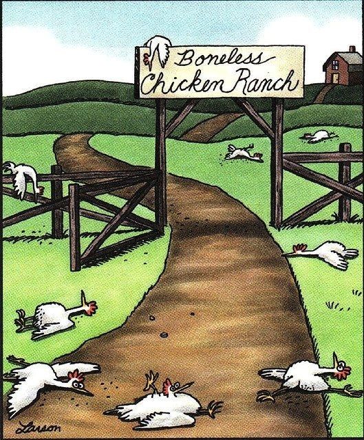 Boneless chicken ranch | Great jokes, Far side cartoons ...
