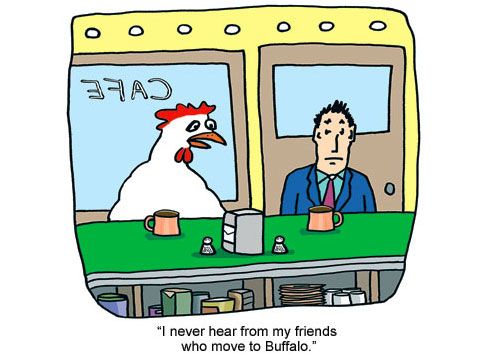 11 Reasons the Chicken Crossed the Road | Chicken humor ...