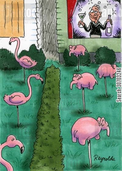 flamingos cartoons - Humor from Jantoo Cartoons