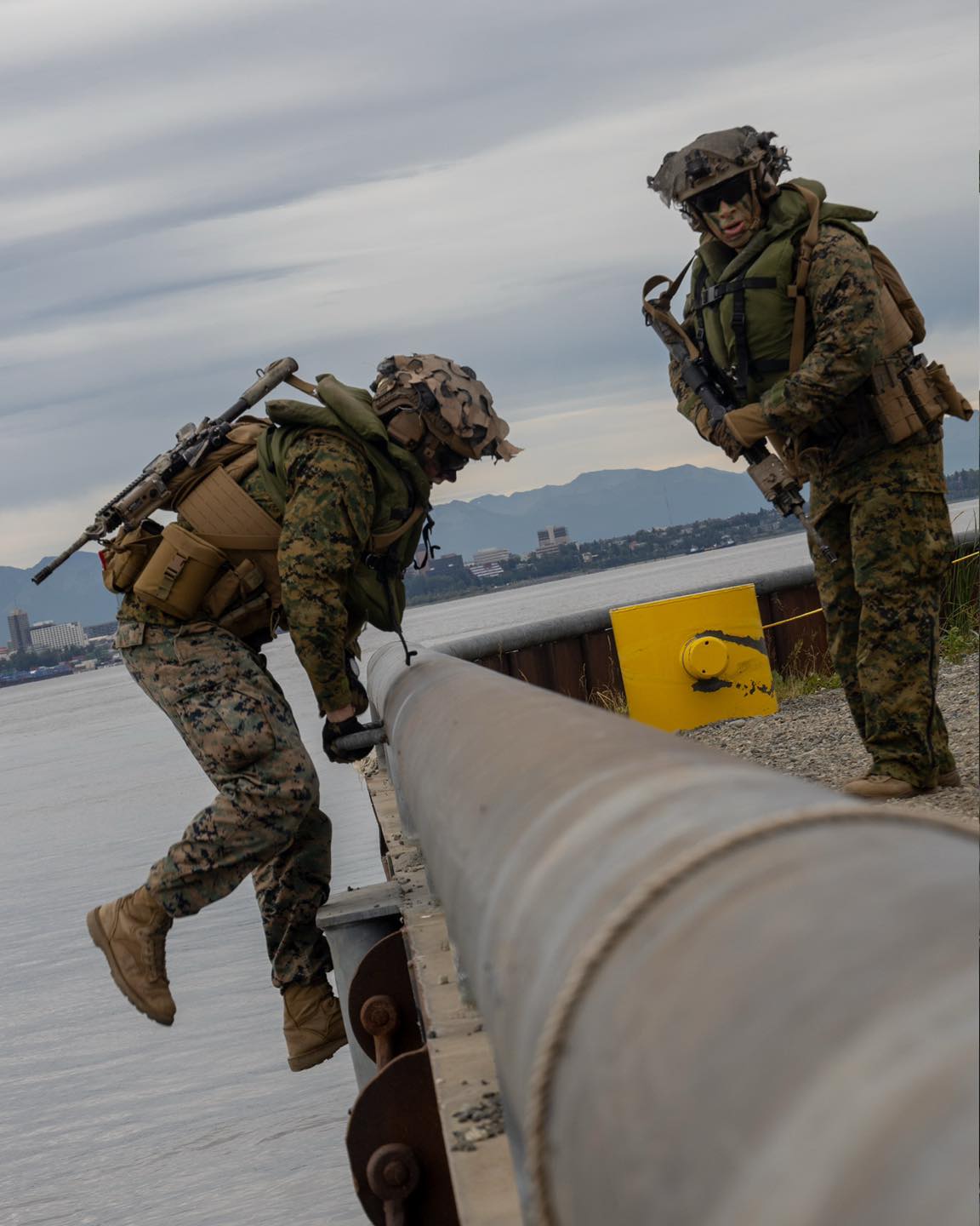 laststandonzombieisland.com