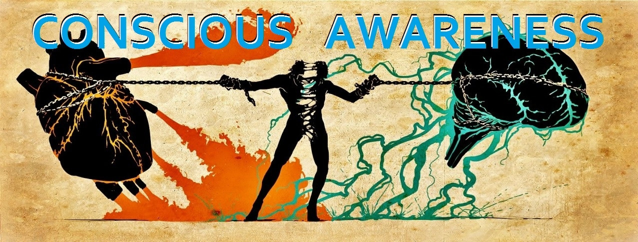 consciousawareness.wixsite.com