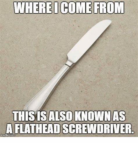 WHEREICOME FROM THISISALSO KNOWNAS a FLATHEAD SCREWDRIVER Imgipcom ...