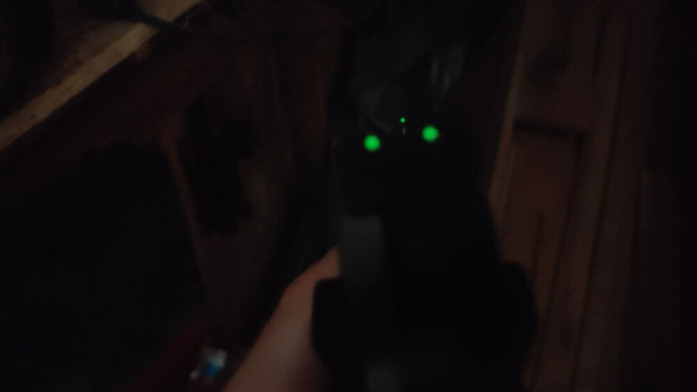 In this image, the night sights are glowing a bright green making them easy to see and align.
