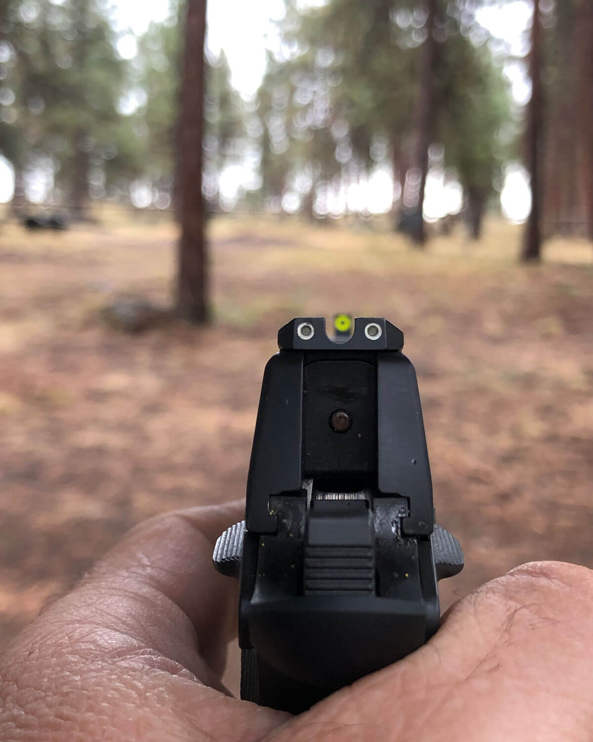 Sight alignment is critical when shooting long range targets with the Springfield 911