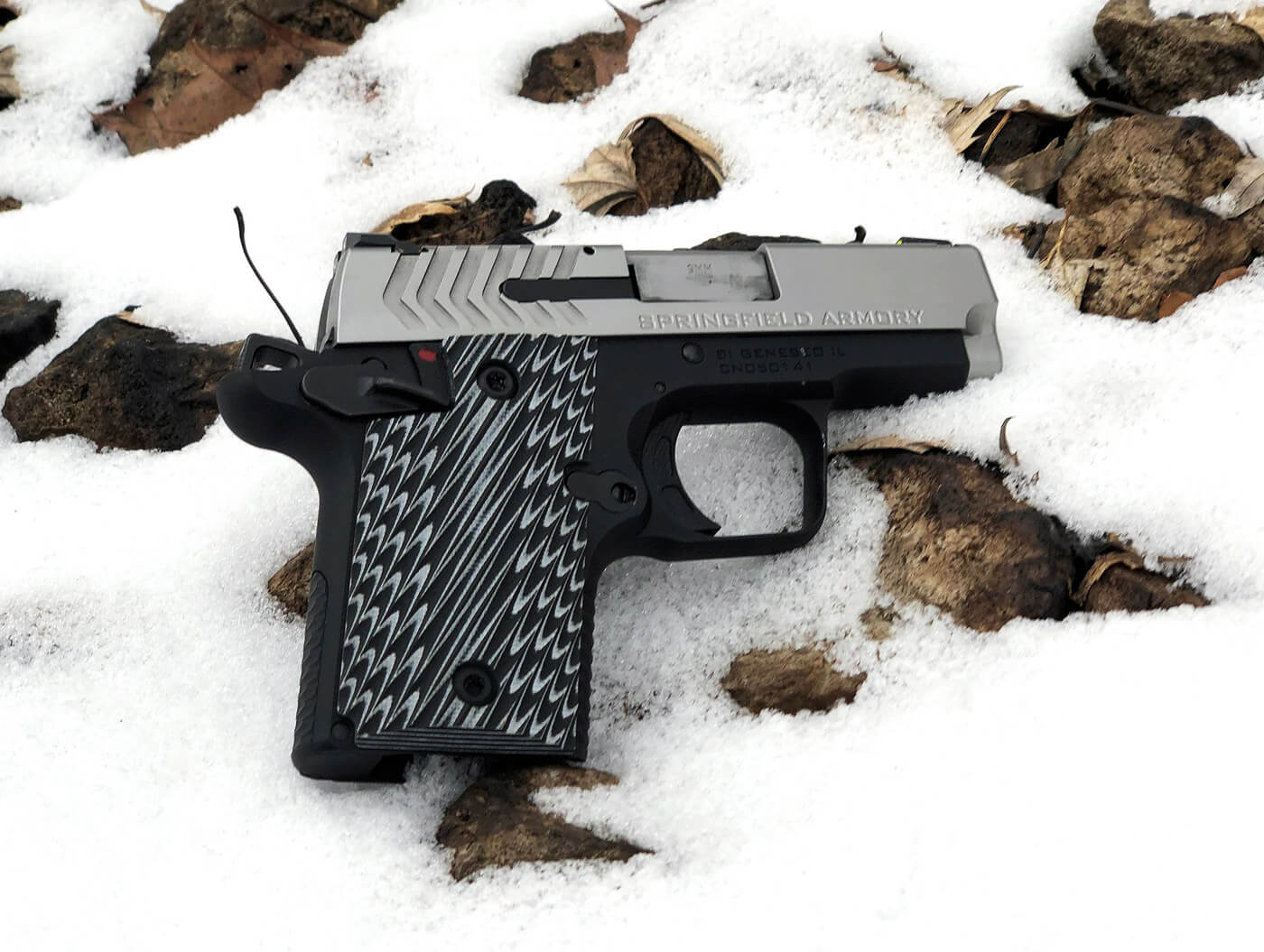 Springfield Armory 911 on snow