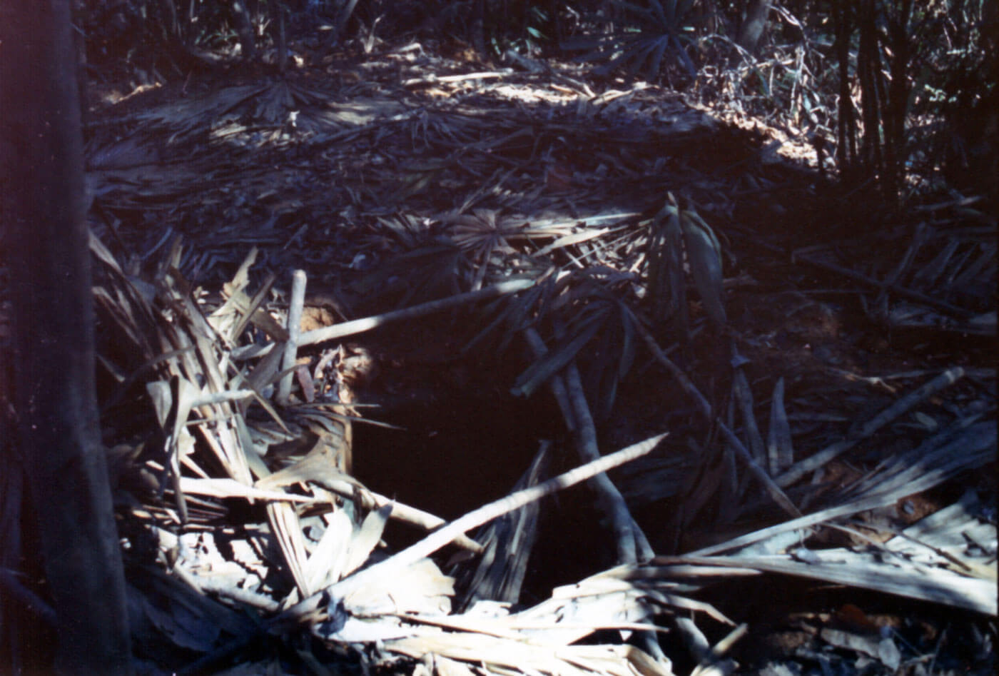 Shown here is a Viet Cong booby trap. A booby trap is a device or setup that is intended to kill, harm or surprise a human or another animal. It is triggered by the presence or actions of the victim and sometimes has some form of bait designed to lure the victim towards it. Traps like this are a form of low technology military weaponry.