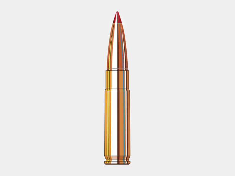 Hornady Full Boar