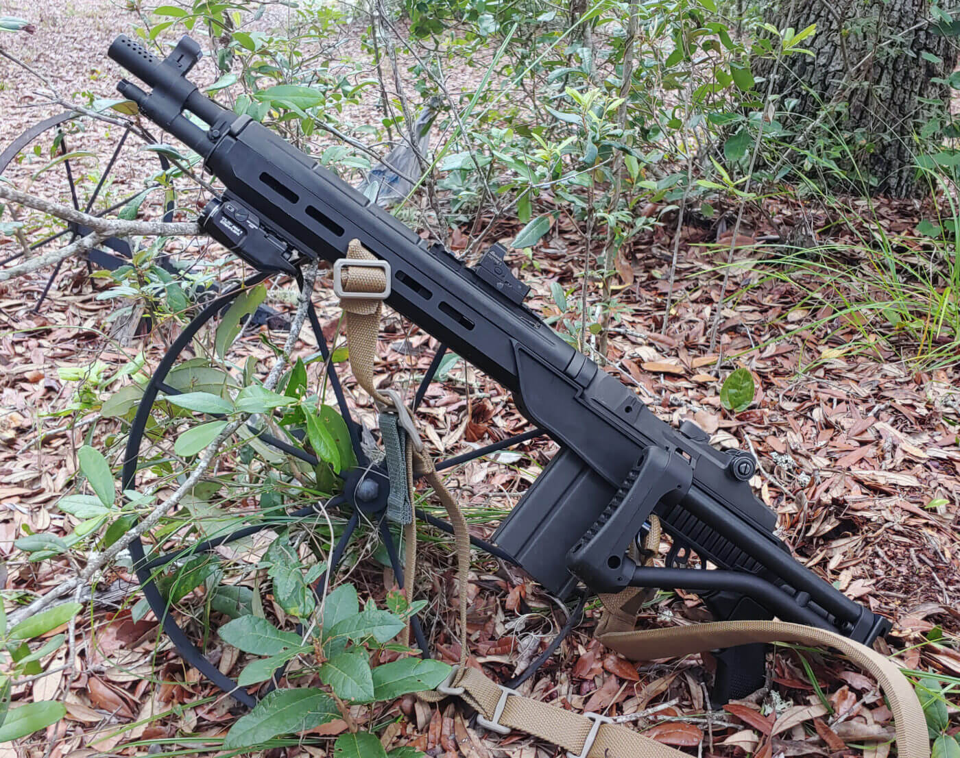 delta 14 stock