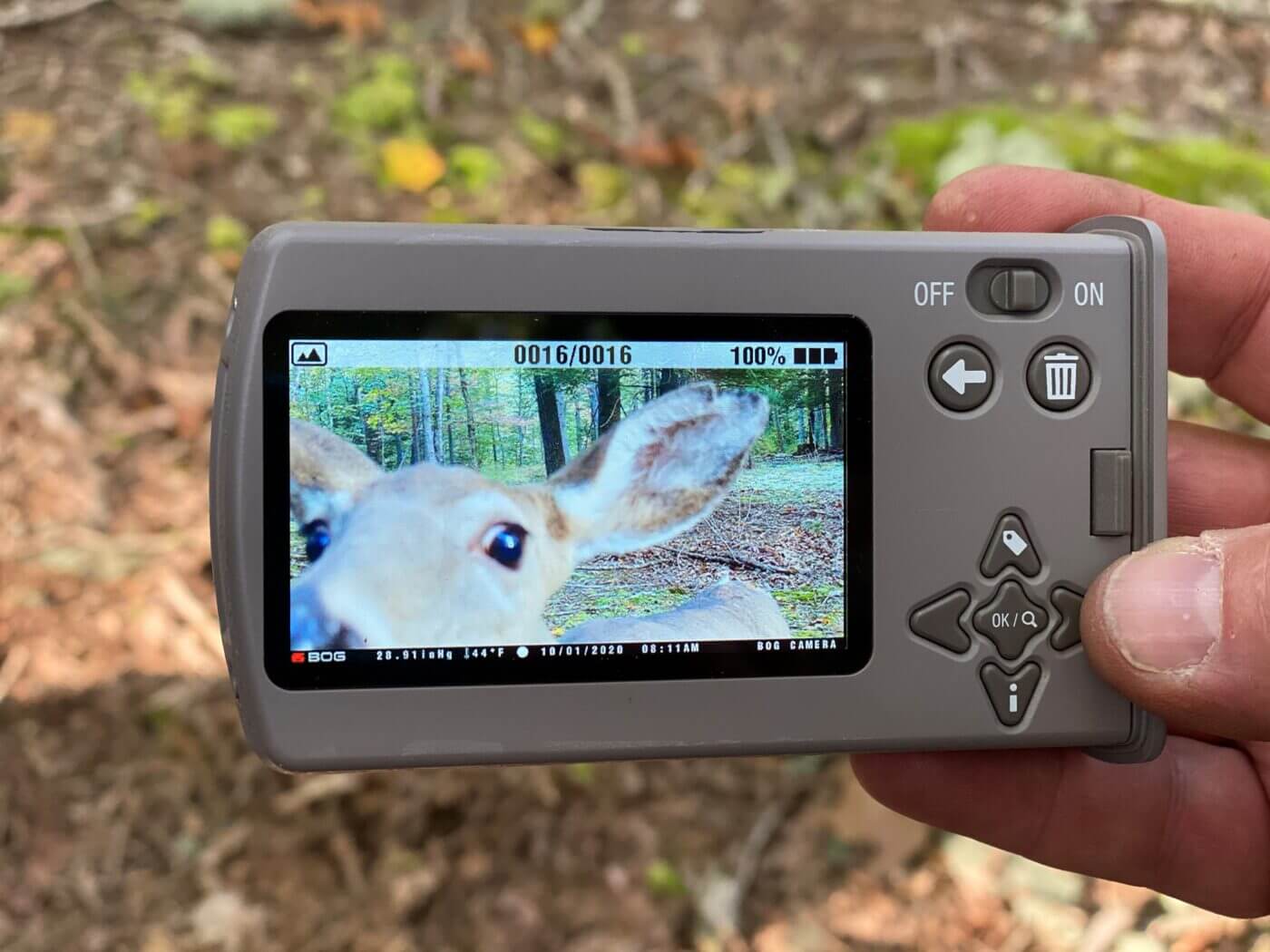 BOG game camera