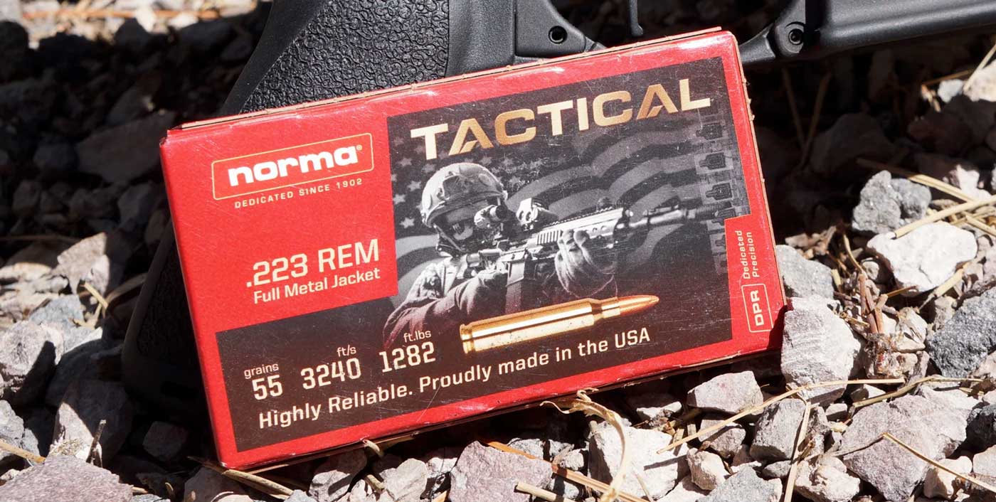 Normal Tactical .223 Ammo