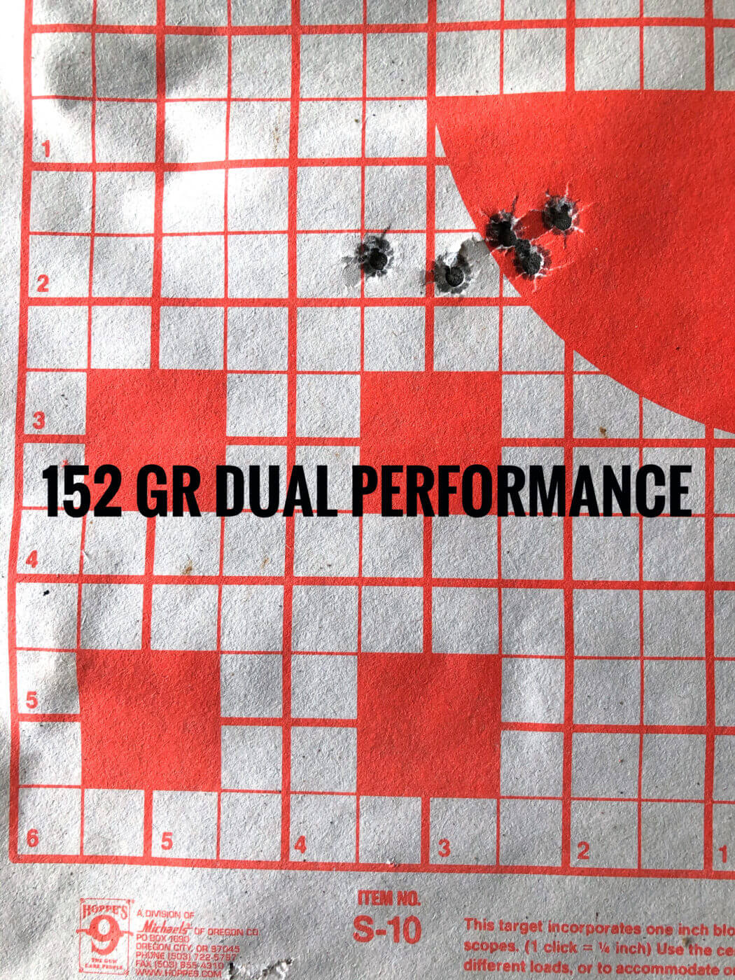 Springfield M1A Loaded accuracy target