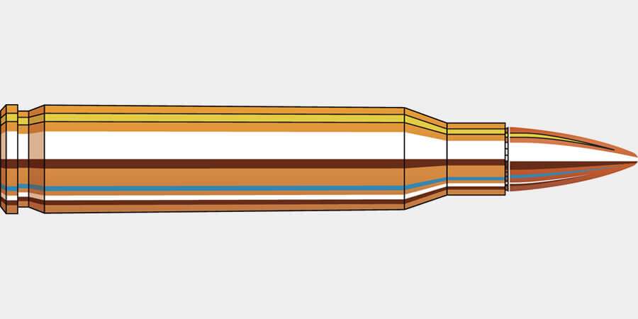 Hornady .223 55 gr. FMJ Frontier