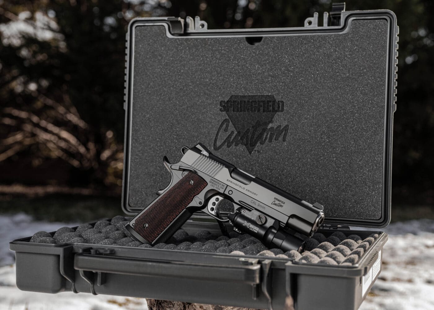 Springfield Armory Professional Light Rail 9mm pistol in carrying case