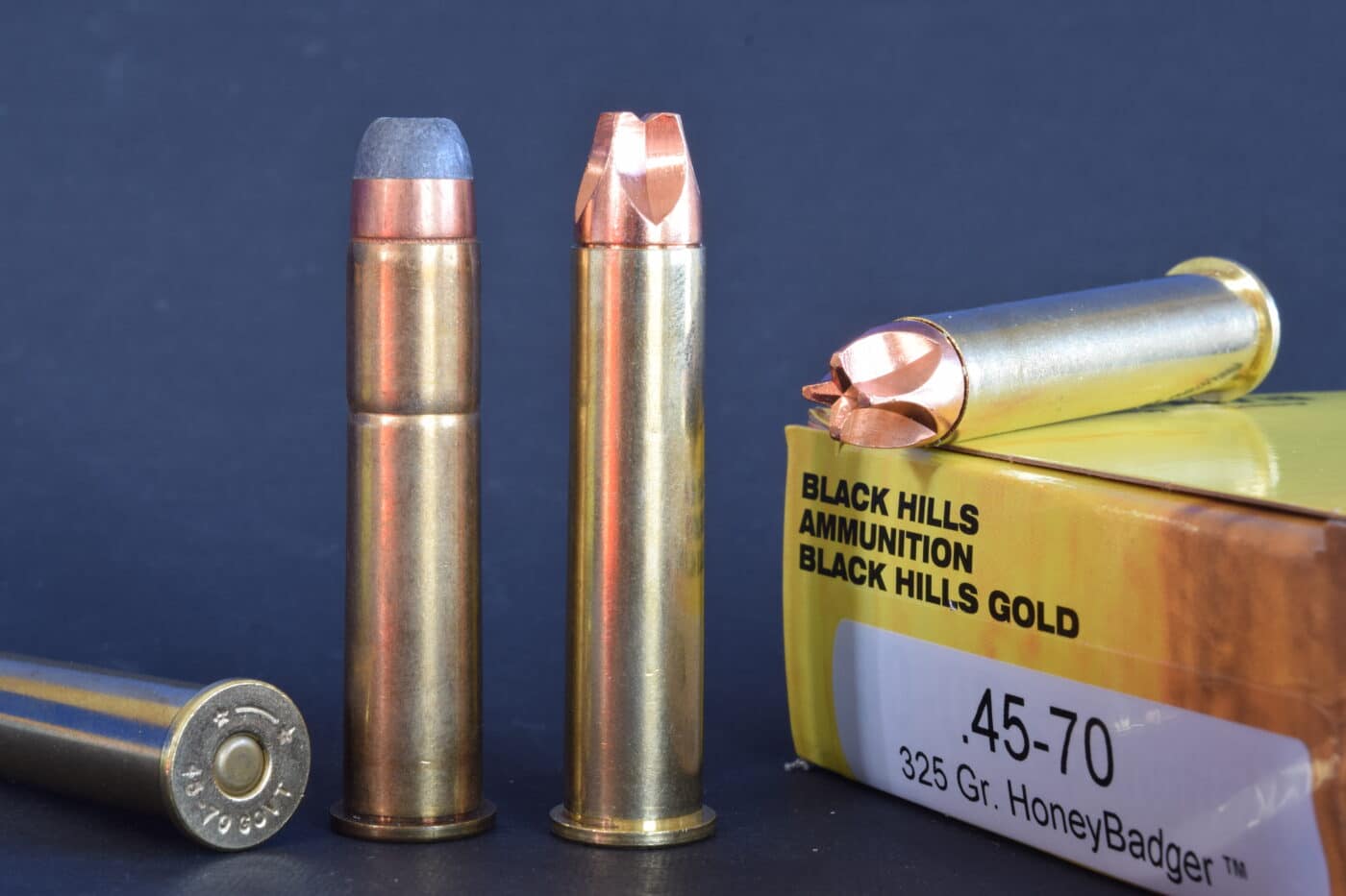 .45-70 Government load