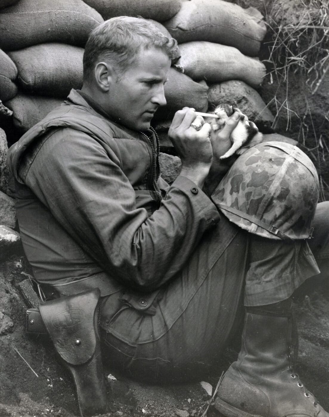 Kitten being fed by U.S. Marine in the Korean War