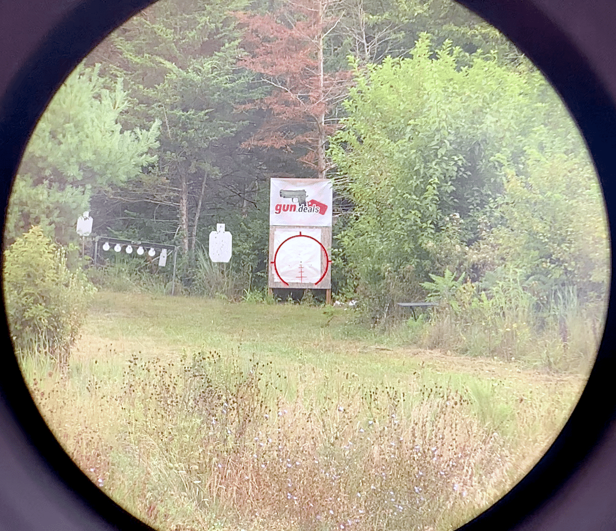 View through AT3 Tactical prism scope