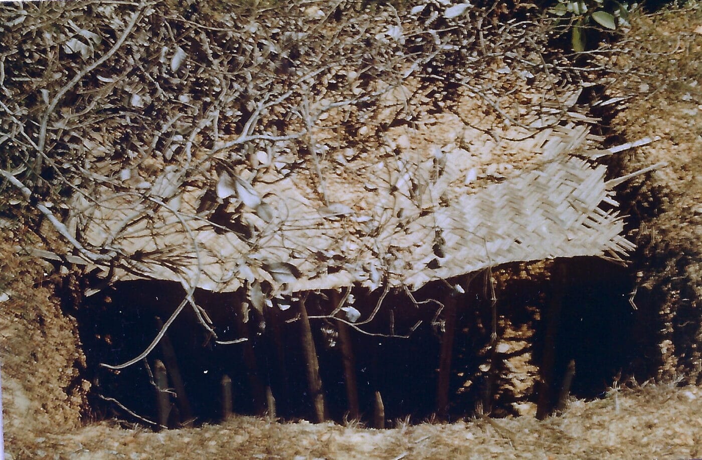 Viet Cong punji pit