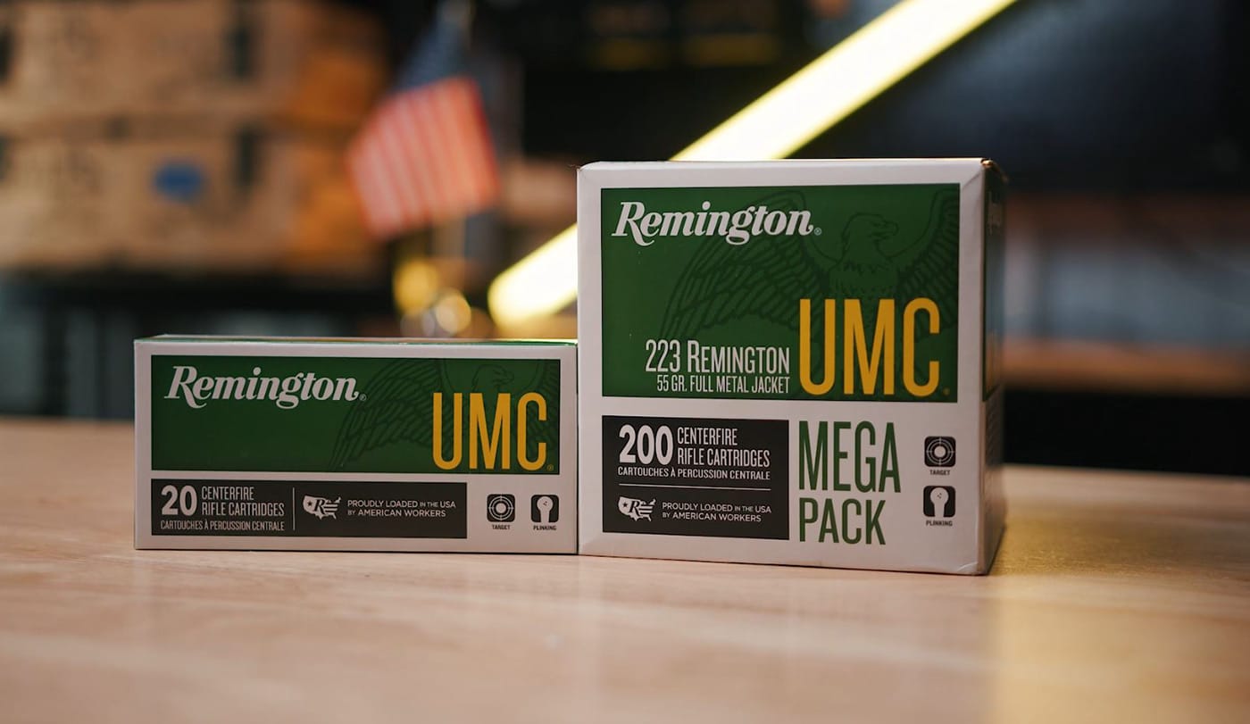 Remington 223 ammo