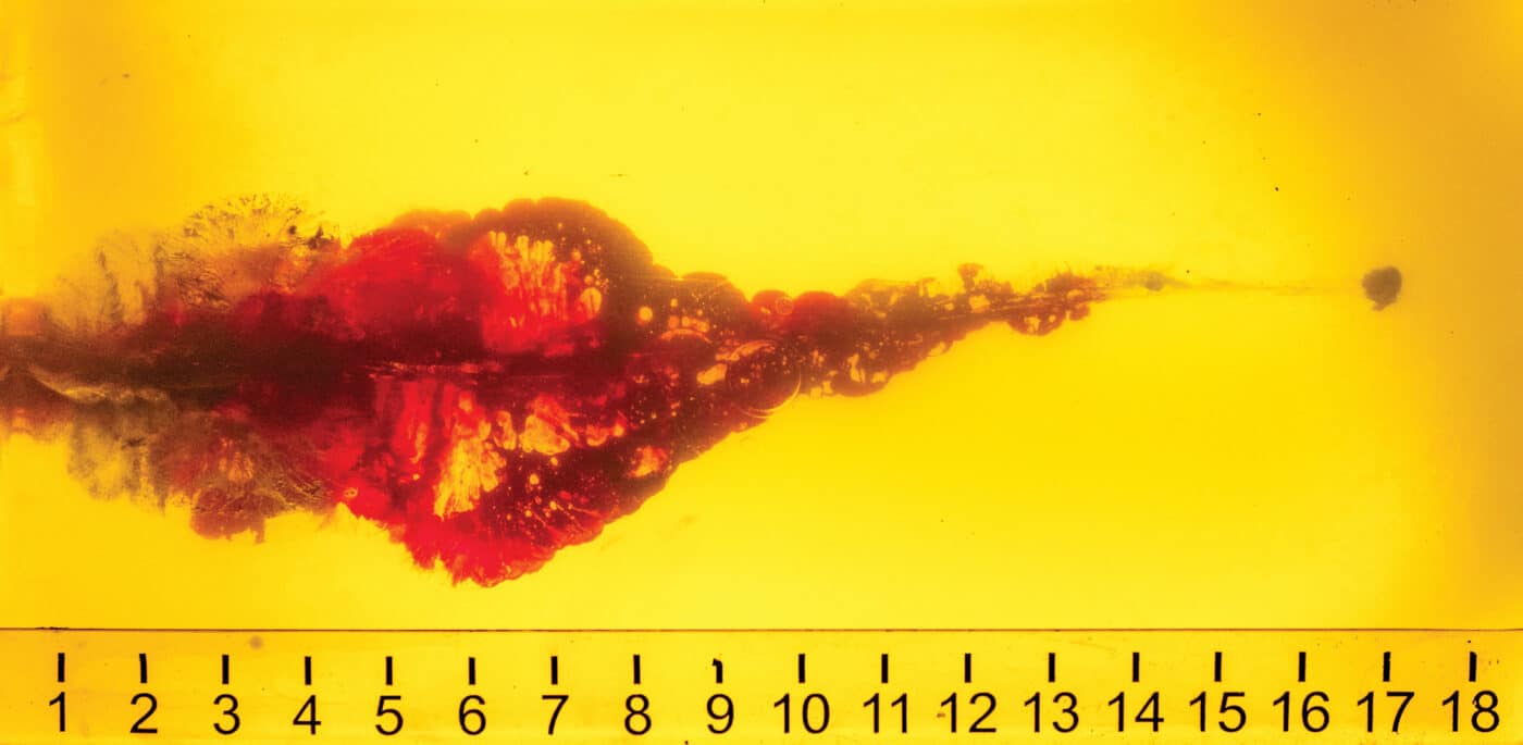 106-gr. TAP round of 6mm ARC fired into ballistic gelatin