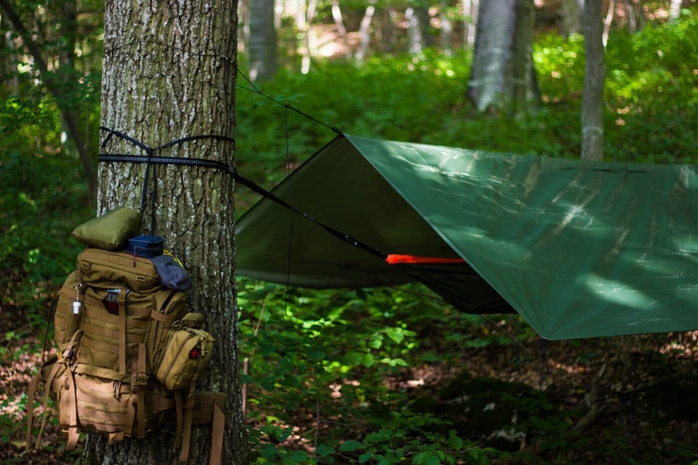 Survival gear set up in the woods