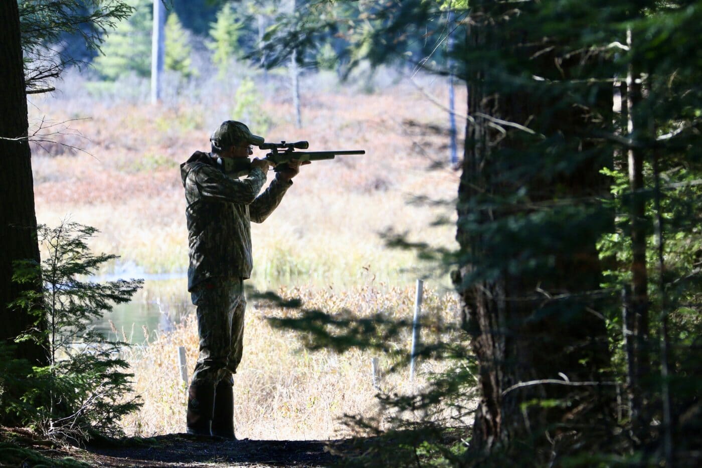 Man aiming rifle for maximum accuracy while in a forest hunting deer