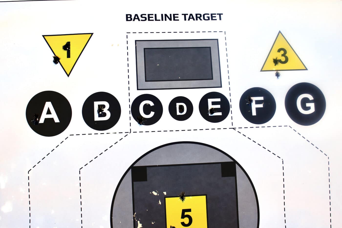 Shooting target with XD-M Elite