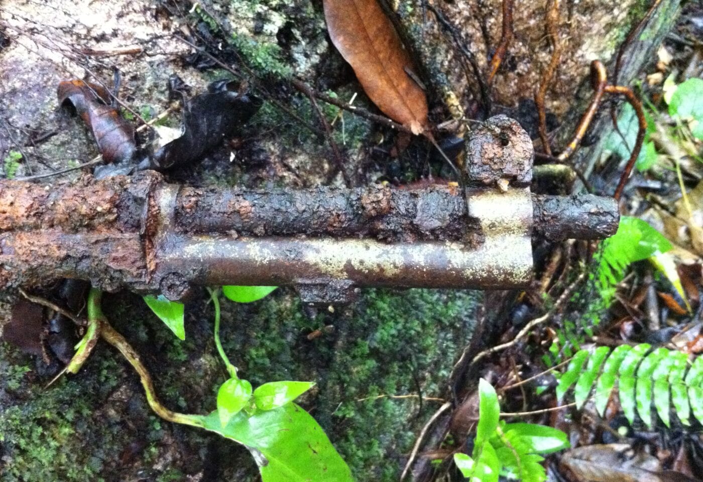 M1 Garand found on Peleliu