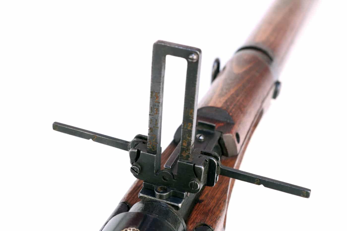 AA sights on TERA Type 2 rifle