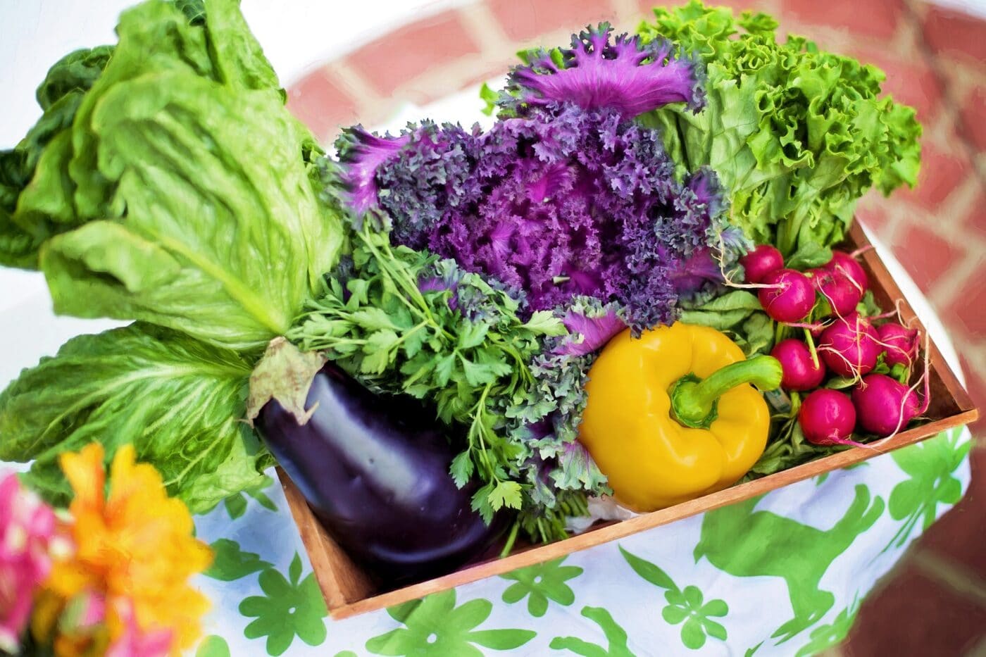 Vegetable harvest for canning