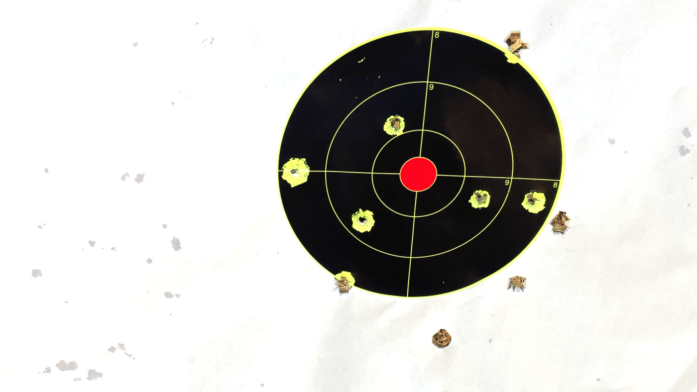 50 yard target used for zeroing