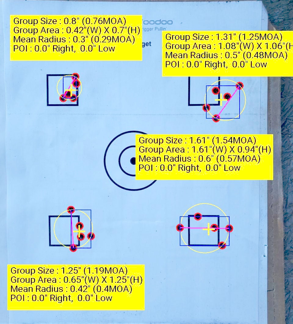 Varmint Express test target