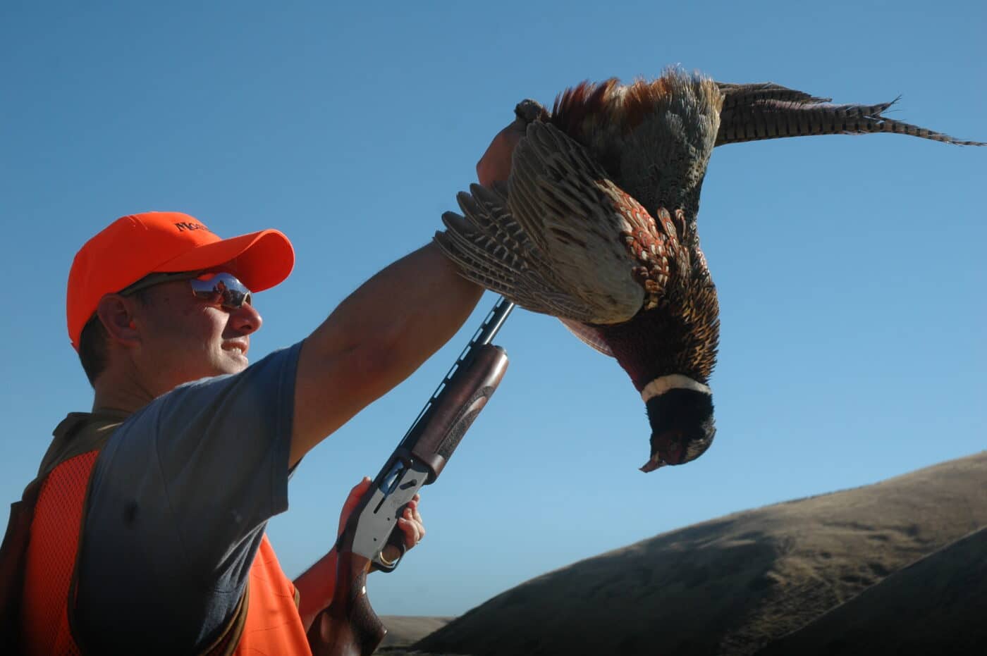 Man hunting pheasant with Peters shotgun shells