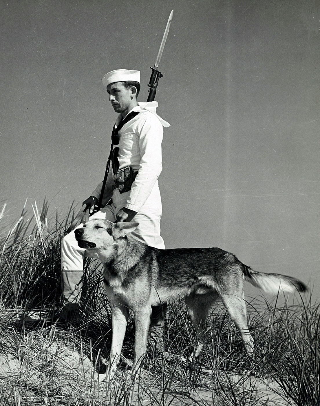 US Coast Guard beach patrol with German shepherd