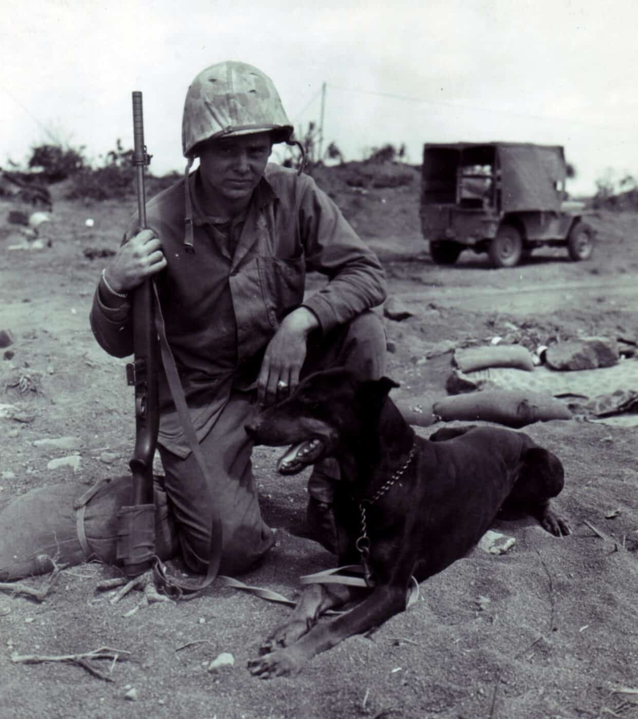 War dog Kip with handler on Iwo Jima March 1945