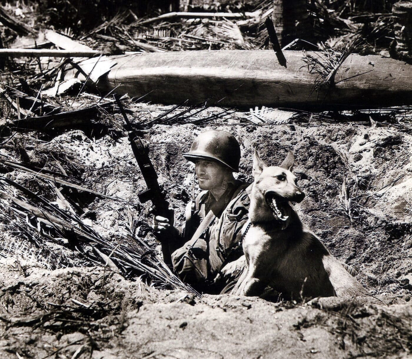 handler equipped with a M1 Carbine and dog Pacific