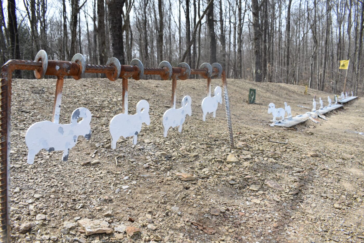 silhouette targets in rifle competition