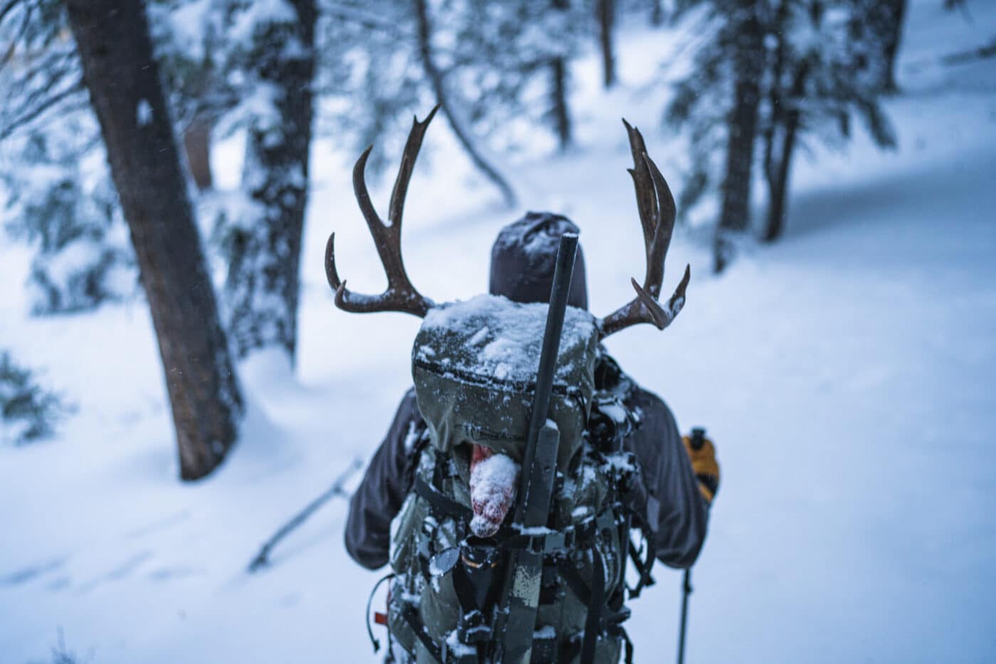 Man in forest with Waypoint rifle