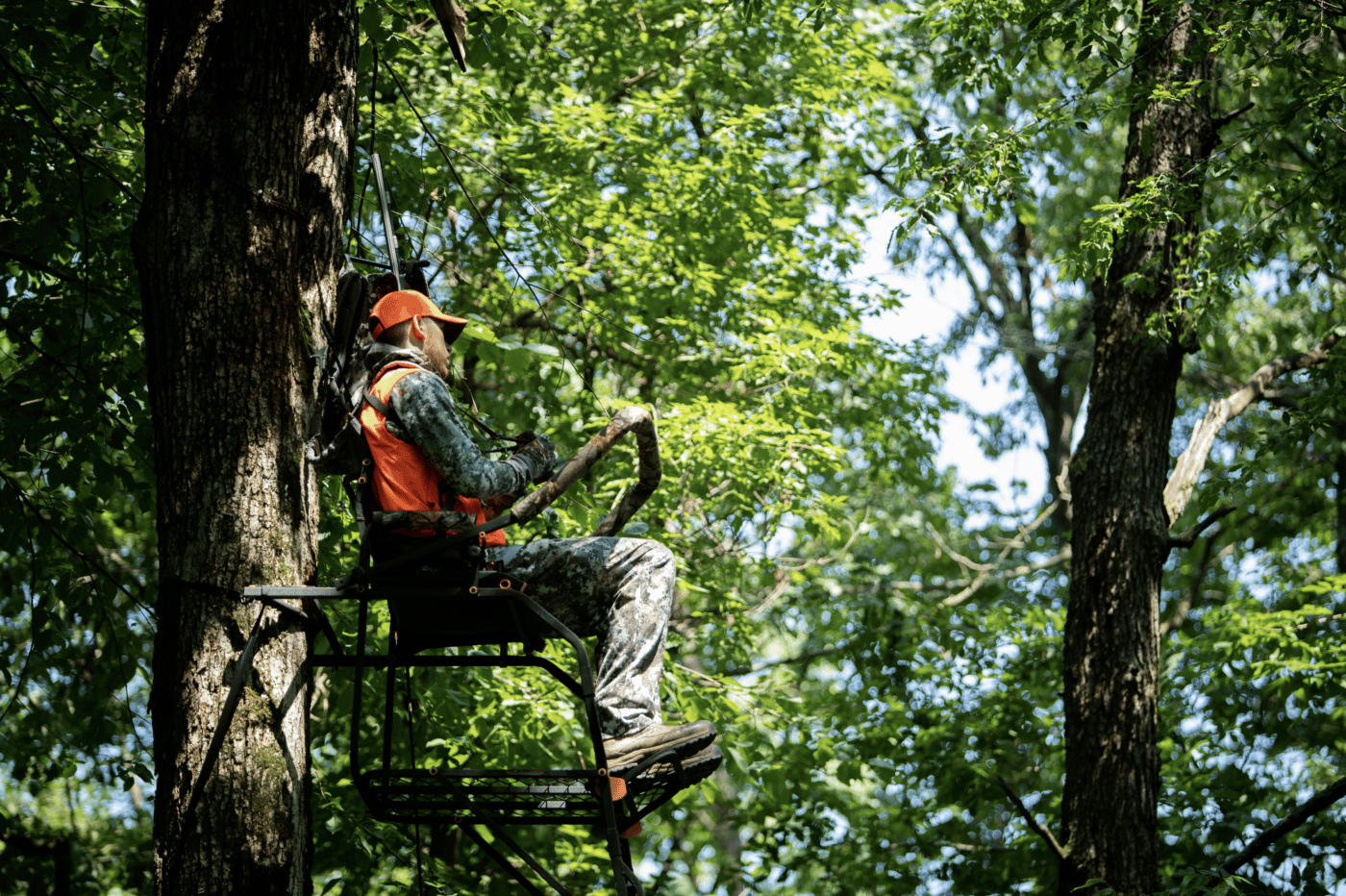 hunter in tree stand