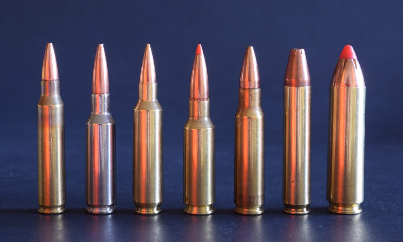semi-auto cartridges for hunting