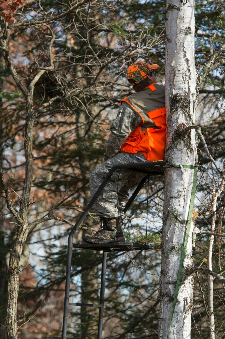 tree stand safety
