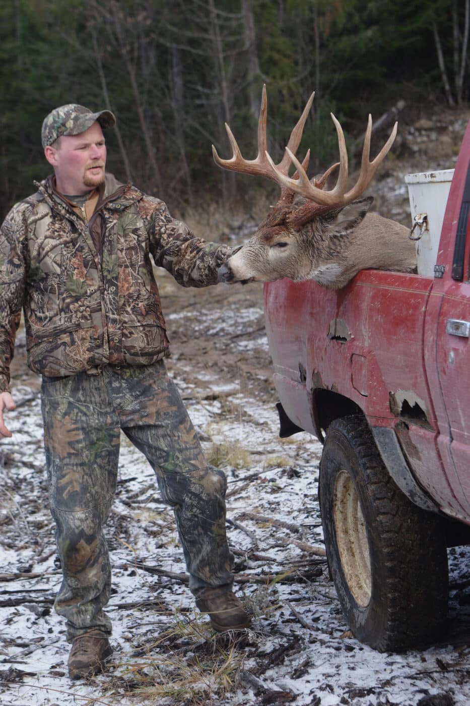 trophy buck from still hunting