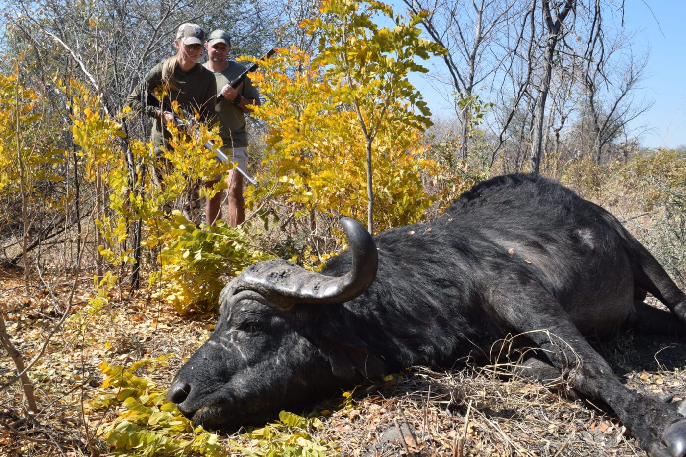 hunting a bufallo off hand with feet