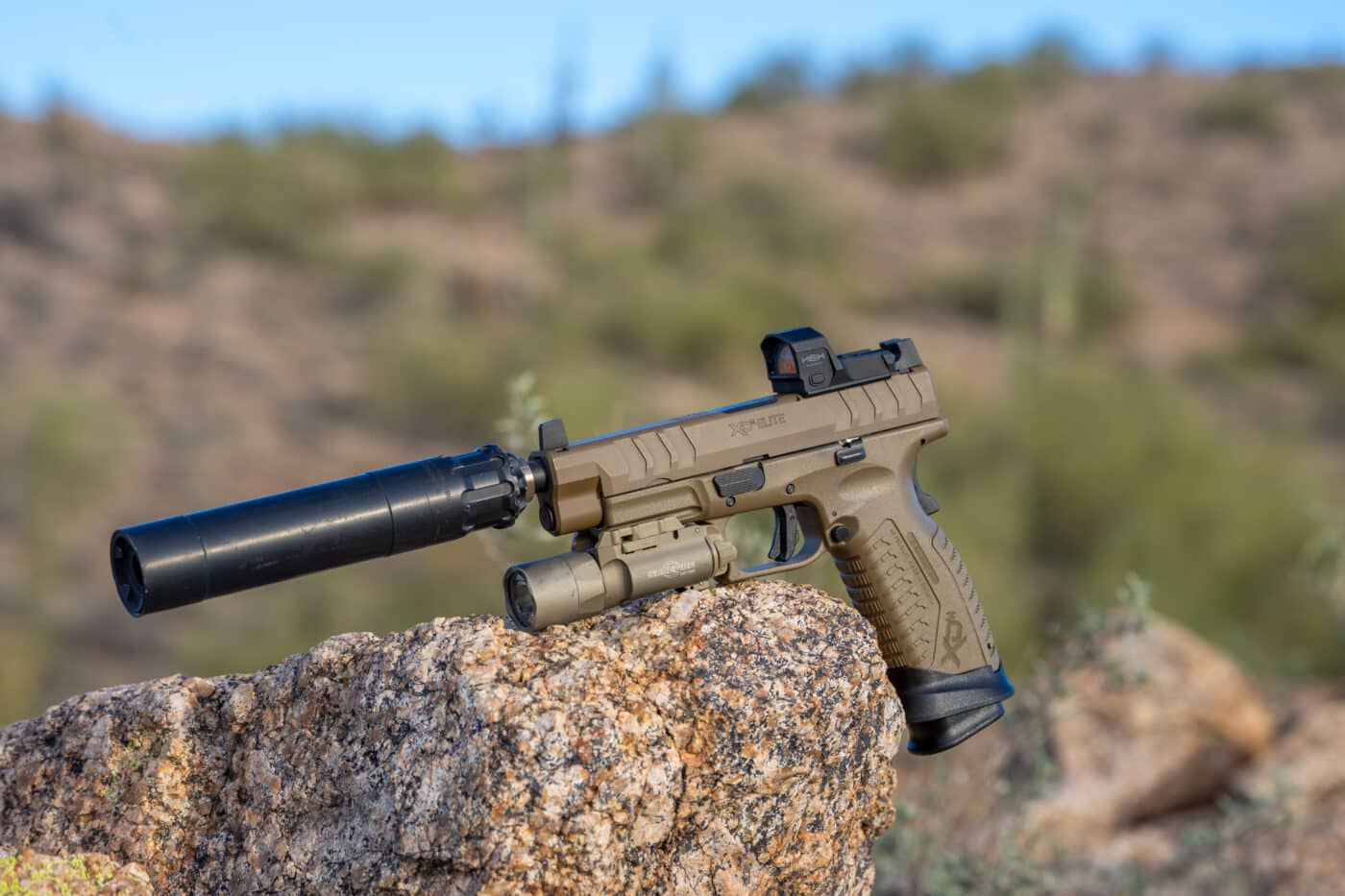 legal questions of suppressor ownership